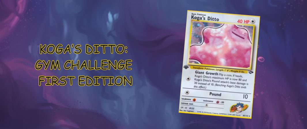 koga ditto
